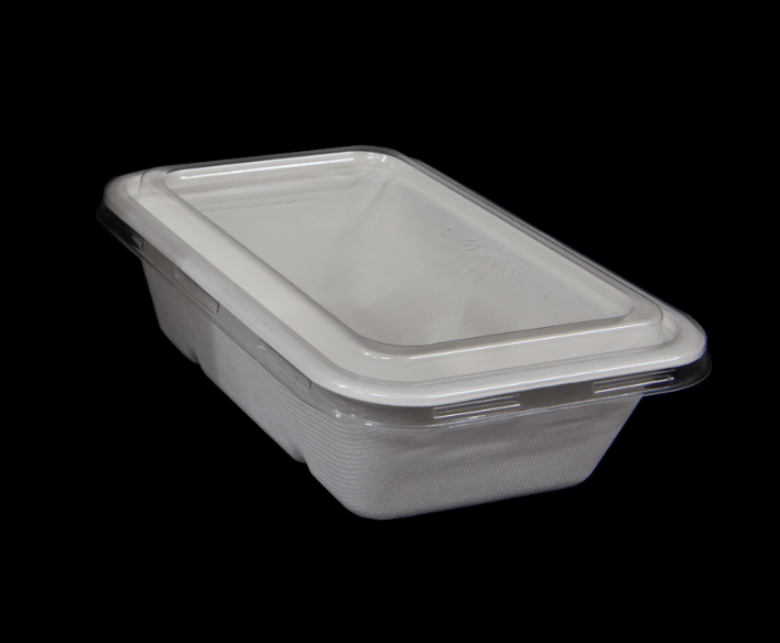 BioBox Sugarcane Takeaway Containers 750ml